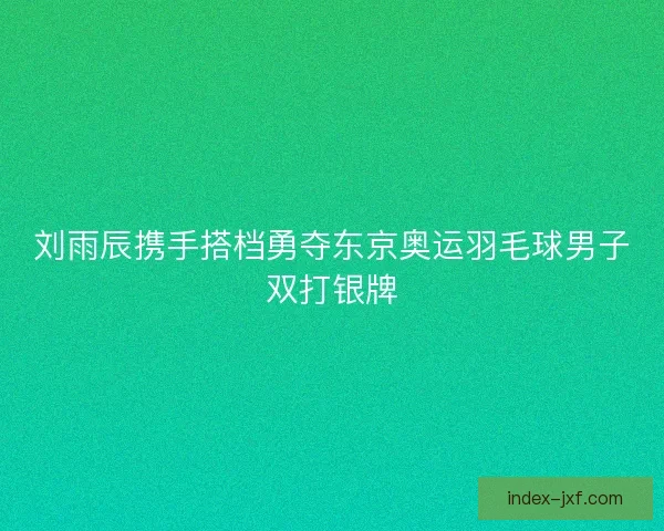 刘雨辰携手搭档勇夺东京奥运羽毛球男子双打银牌